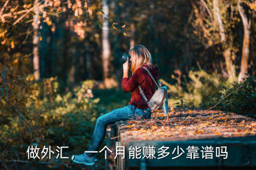 做外匯，一個月能賺多少靠譜嗎