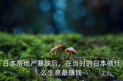 日本房地產(chǎn)暴跌后，在當時的日本做什么生意最賺錢