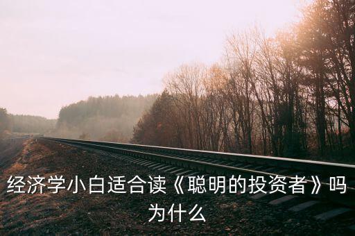 經(jīng)濟學小白適合讀《聰明的投資者》嗎為什么
