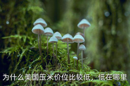 為什么美國玉米價位比較低，低在哪里