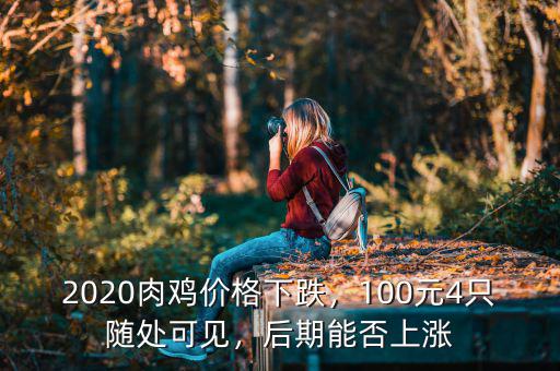 2020肉雞價(jià)格下跌，100元4只隨處可見，后期能否上漲