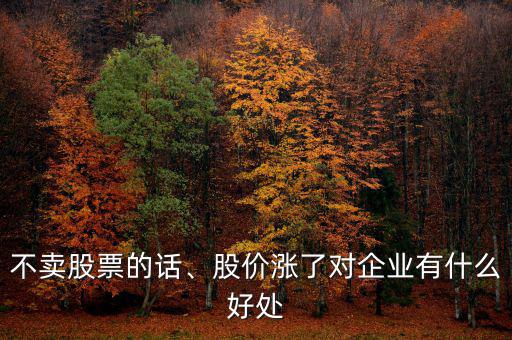 不賣股票的話、股價(jià)漲了對(duì)企業(yè)有什么好處