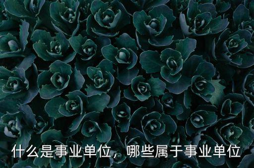 什么是事業(yè)單位，哪些屬于事業(yè)單位