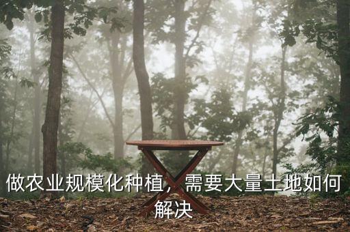 什么是土地規(guī)?；?jīng)營,規(guī)?；?jīng)營有哪些好處