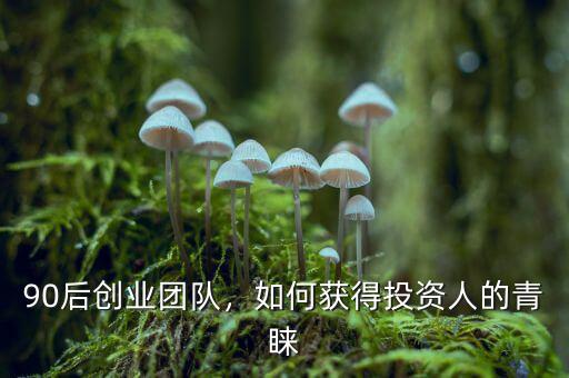 90后創(chuàng)業(yè)團(tuán)隊(duì)，如何獲得投資人的青睞