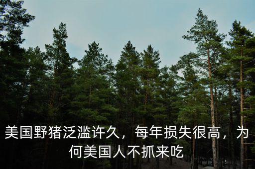 美國(guó)野豬泛濫許久，每年損失很高，為何美國(guó)人不抓來(lái)吃