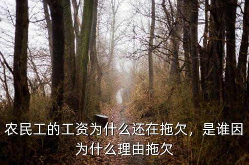 農(nóng)民工的工資為什么還在拖欠，是誰因為什么理由拖欠