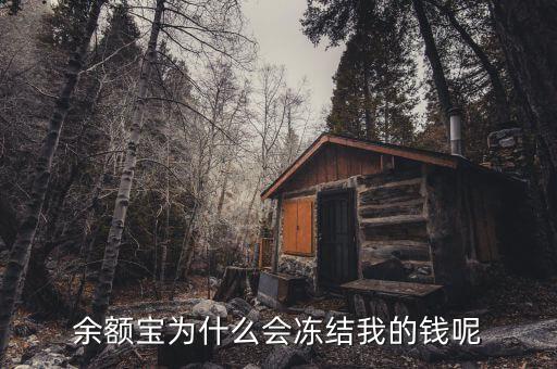 余額寶為什么會有爭議,余額寶利率下降的原因有哪些