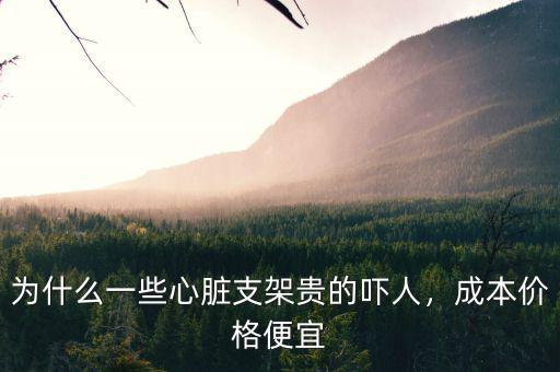 為什么一些心臟支架貴的嚇人，成本價(jià)格便宜