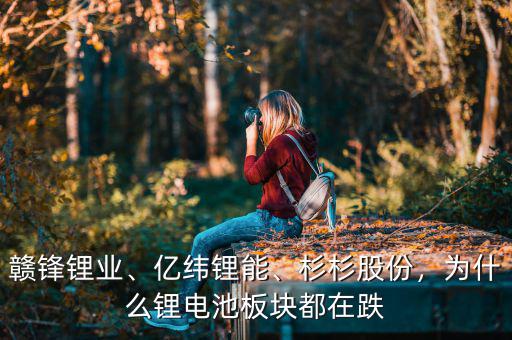 贛鋒鋰業(yè)、億緯鋰能、杉杉股份，為什么鋰電池板塊都在跌