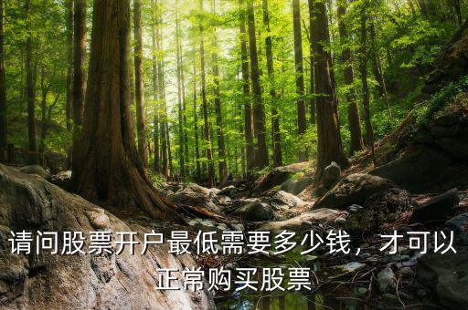 請(qǐng)問(wèn)股票開(kāi)戶(hù)最低需要多少錢(qián)，才可以正常購(gòu)買(mǎi)股票