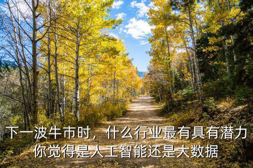 下一波牛市時(shí)，什么行業(yè)最有具有潛力你覺得是人工智能還是大數(shù)據(jù)