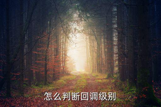 怎么判斷回調級別