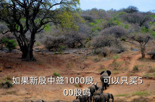 如果新股中簽1000股，可以只買500股嗎