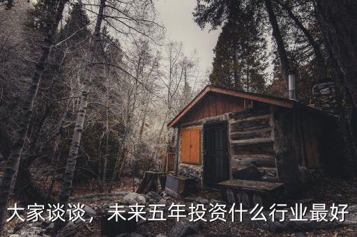 大家談?wù)?，未來五年投資什么行業(yè)最好