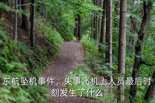 東航墜機事件，失事飛機上人員最后時刻發(fā)生了什么
