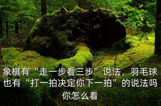 象棋有“走一步看三步”說(shuō)法，羽毛球也有“打一拍決定你下一拍”的說(shuō)法嗎你怎么看