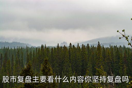 股市復(fù)盤(pán)主要看什么內(nèi)容你堅(jiān)持復(fù)盤(pán)嗎