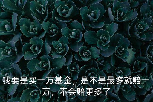 我要是買一萬基金，是不是最多就賠一萬，不會賠更多了
