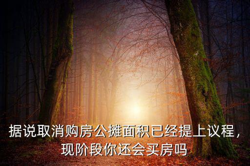 據(jù)說取消購房公攤面積已經(jīng)提上議程，現(xiàn)階段你還會買房嗎