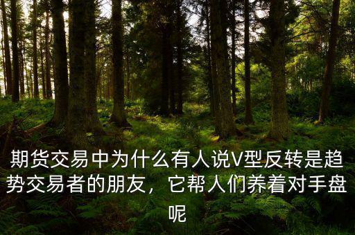 期貨交易中為什么有人說V型反轉(zhuǎn)是趨勢交易者的朋友，它幫人們養(yǎng)著對手盤呢