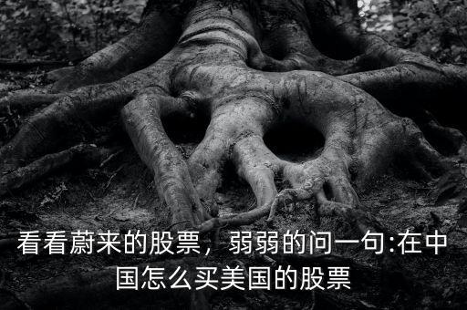 看看蔚來的股票，弱弱的問一句:在中國怎么買美國的股票