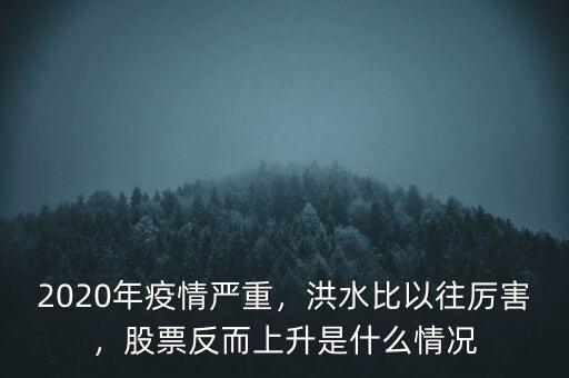 2020年疫情嚴(yán)重，洪水比以往厲害，股票反而上升是什么情況