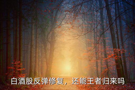 白酒股反彈修復(fù)，還能王者歸來嗎