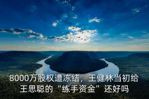 8000萬(wàn)股權(quán)遭凍結(jié)，王健林當(dāng)初給王思聰?shù)摹熬毷仲Y金”還好嗎