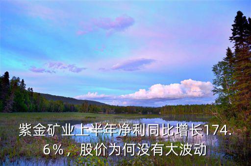 紫金礦業(yè)上半年凈利同比增長174.6％，股價(jià)為何沒有大波動(dòng)