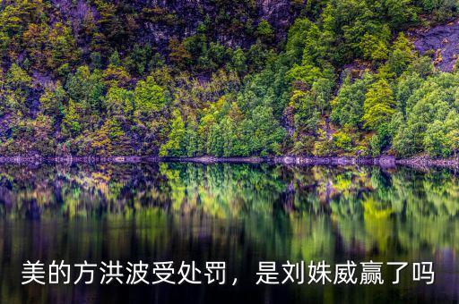 美的方洪波受處罰，是劉姝威贏了嗎