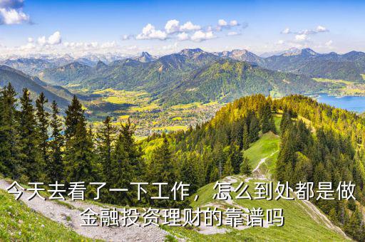 今天去看了一下工作，怎么到處都是做金融投資理財?shù)目孔V嗎