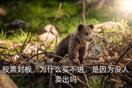 為什么股票不能賣(mài),跌停板的股票賣(mài)不出去