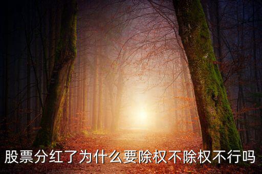 為什么分紅要除權,不除權不行嗎