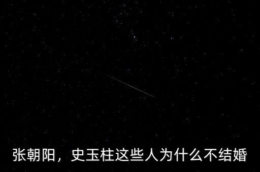 張朝陽，史玉柱這些人為什么不結(jié)婚