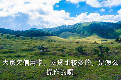 大家欠信用卡，網(wǎng)貸比較多的，是怎么操作的啊