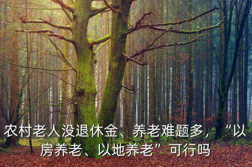 農(nóng)村老人沒(méi)退休金、養(yǎng)老難題多，“以房養(yǎng)老、以地養(yǎng)老”可行嗎