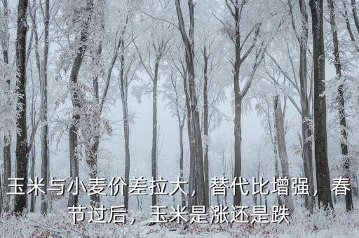 小麥與玉米價格相關多少可以替代,玉米與小麥價差拉大