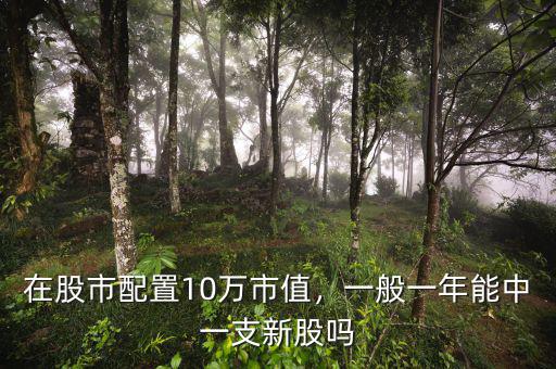 在股市配置10萬(wàn)市值，一般一年能中一支新股嗎