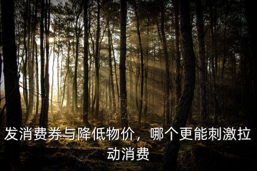 發(fā)消費(fèi)券與降低物價(jià)，哪個(gè)更能刺激拉動(dòng)消費(fèi)