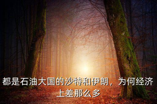 都是石油大國的沙特和伊朗，為何經(jīng)濟(jì)上差那么多