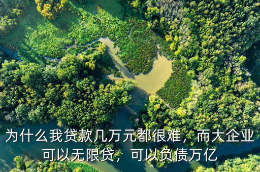 為什么我貸款幾萬元都很難，而大企業(yè)可以無限貸，可以負債萬億