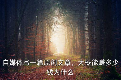 自媒體寫一篇原創(chuàng)文章，大概能賺多少錢為什么