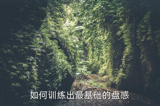 如何訓練出最基礎的盤感