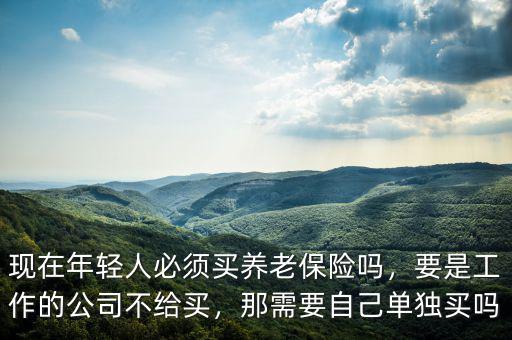 現(xiàn)在年輕人必須買養(yǎng)老保險嗎，要是工作的公司不給買，那需要自己單獨買嗎