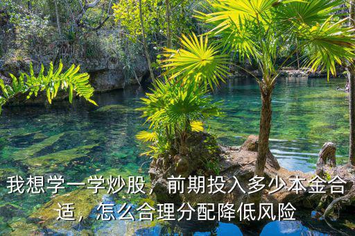 我想學(xué)一學(xué)炒股，前期投入多少本金合適，怎么合理分配降低風(fēng)險(xiǎn)