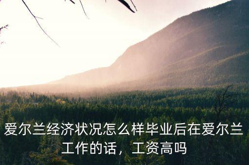 愛爾蘭經濟怎么樣,愛爾蘭的經濟概況