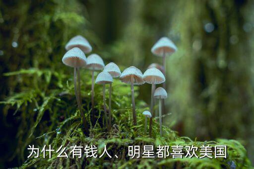 為什么有錢人、明星都喜歡美國