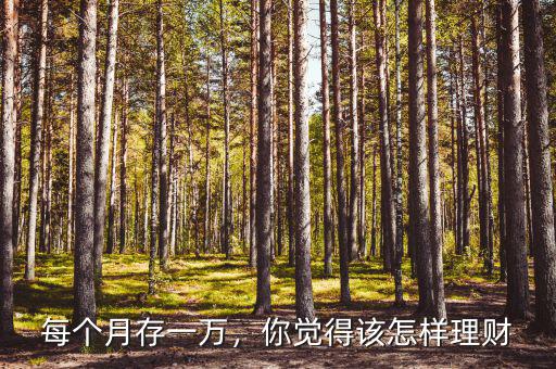 一萬以上怎么理財(cái),一個月拿出一萬理財(cái)