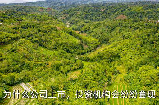 為什么公司上市，投資機構(gòu)會紛紛套現(xiàn)